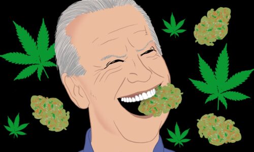 Cannabis News: Biden Fails Cannabis