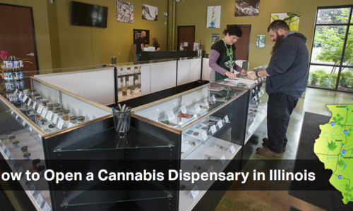 A Recreational Marijuana Dispensary Is Expected To Open in Whitehall Michigan