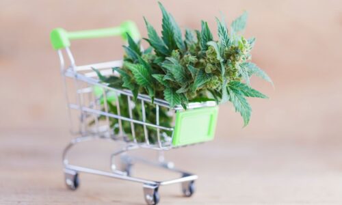 U.S. Recreational Marijuana Sales Bloomed in 2021 ￼