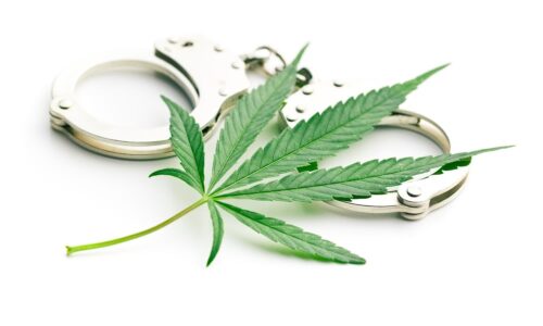 N.Y. To Reserve Cannabis Retail Licenses for Those with Marijuana Convictions.