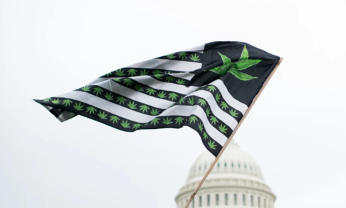 Congress Opts to Keep D.C. Cannabis Ban￼