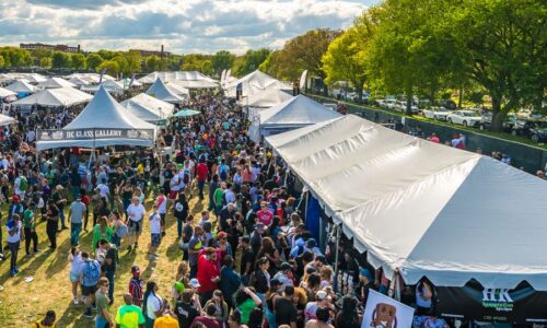 CANNABIS 101 IS TAKING OVER NATIONAL CANNABIS FESTIVAL