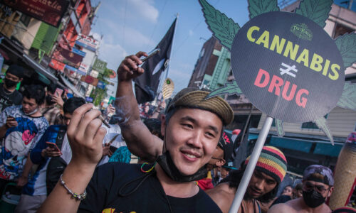 Thailand Eases Laws Against Cannabis and Gives Away 1 Million Cannabis Plants