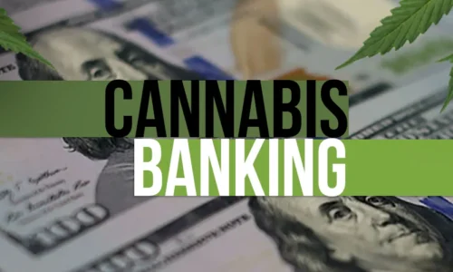 Banking For Cannabis Business-Owners 