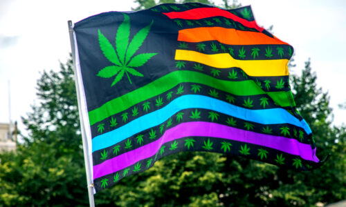 Cannabis and Pride: 
