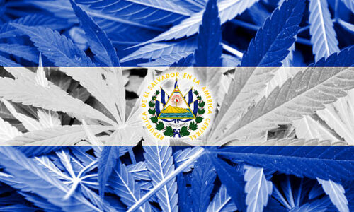 Outdated Cannabis Laws in El Salvador