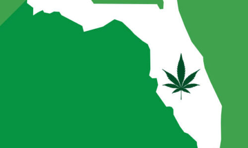 The Future of Cannabis in Florida