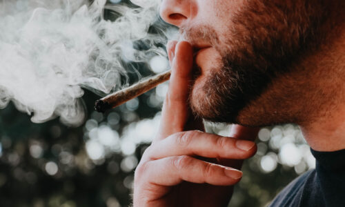 Maryland Court Rules That Stopping and Frisking Those Who Smell of Marijuana is Constitutional