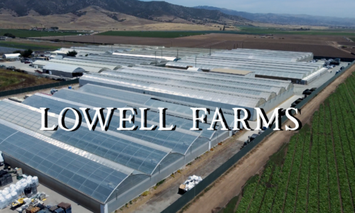 Cannabis Talk 101 and Advanced Nutrients visit Lowell Farms