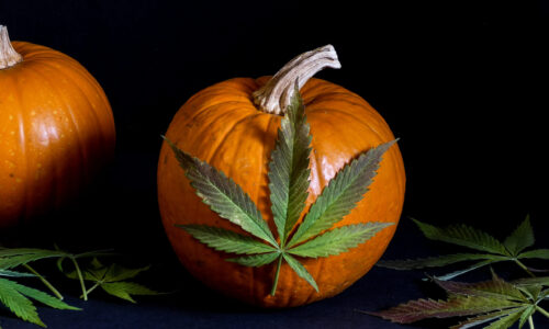 Cannabis Talk 101’s Guide to Cannabis Themed Halloween Costumes