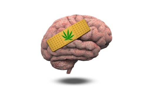 Celebrating World Mental Health Day With Cannabis