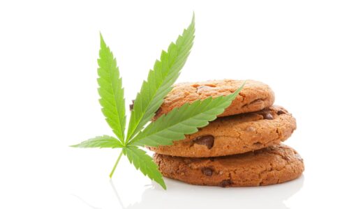 Cannabis Myth Busting – The Munchies!