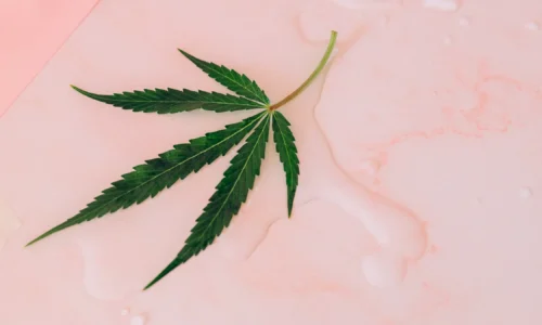Cannabis Beauty Products Become More Available