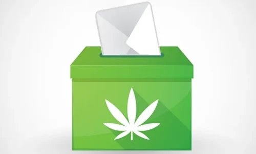 Five States Decide On Cannabis Legalization On Election Day
