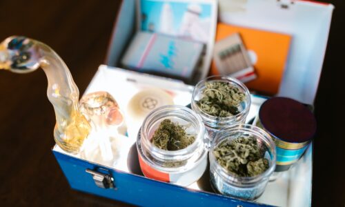 Best Decisions For Cannabis Start-Ups