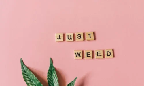 Weed… What is it Good For?