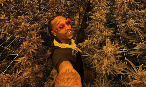 Marty Grimes: Toking With The Stars
