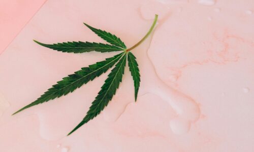 Celebrating Mother’s Day with Green Love: The Best Cannabis-Themed Gifts for Moms